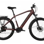 Bicyklet Raymond Rouge Bordeaux
