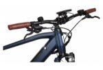 Bicyklet Raymond Bleu Matt Night – Image 7