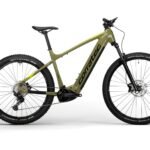 Corratec E-Power X Vert Elite Gent Vert 2023